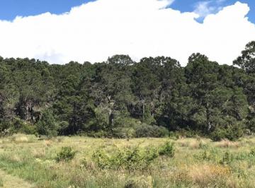 Terreno / Lote , Arteaga · En Venta Lote Campestre en Sierra Escondida, Arteaga
