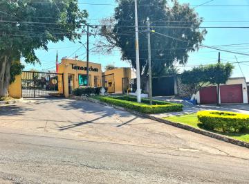 Terreno / Lote , Jiutepec · Terrenos en Fraccionamiento Tamoanchan