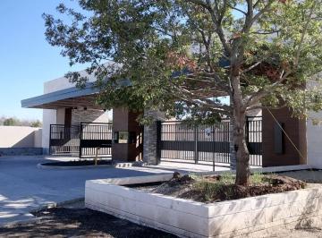 Terreno / Lote , Saltillo · Fracc. Punta Bosque Al Norte, Lote Residencial en Venta