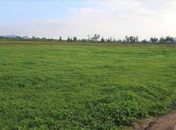 Terreno industrial , Tezoyuca · Venta de Terreno Escriturado en Tezoyuca, Estado de México. Puede Ser Mixto