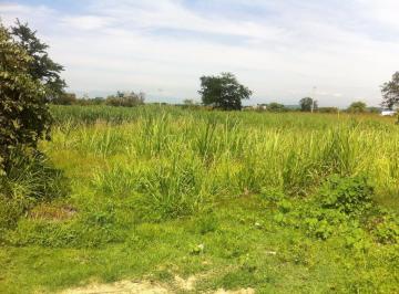 Terreno / Lote , Xochitepec · Terreno Campestre en Lázaro Cárdenas Xochitepec - Crb - 366 - Tuc*