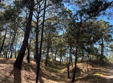 Terreno / Lote , Mazamitla · Terrenos en Venta Fraccionamiento Bosque Real Mazamitla Jali