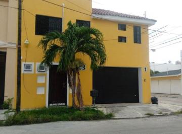Departamento · 1 Recámara · Departamento Amueblado en Renta Calle 50 Playa Norte