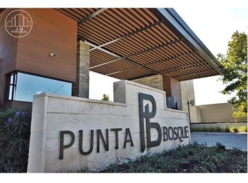 Terreno / Lote , Saltillo · Terrenos Punta Bosque, en Venta Sector Residencial Norte de Saltillo