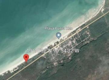 Terreno / Lote · 300000m² · Terreno Rustico a Pie de Carretera, Ciudad del Carmen, Campeche - (4)