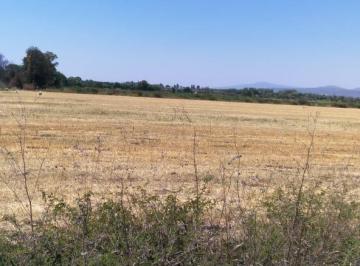 Terreno comercial , Corregidora · Venta Terreno Junto Fraccionamiento La Vida 75,000 m