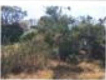 Terreno / Lote , Xochimilco · Terreno en Venta en Xochimilco