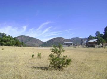 Huerta · 3m² · Terreno Basaseachi