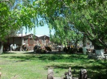 Huerta · 3750m² · Granja de Descanso a La Venta en Sacramento