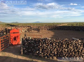 Huerta · 65710000m² · Finca - Chihuahua