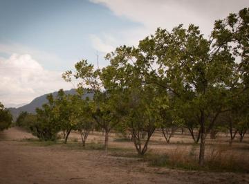 Rancho de 4 habitaciones, Ramos Arizpe · Rancho Nogalero en Venta en Santo Domingo (Cerca de Ramos Arizpe)