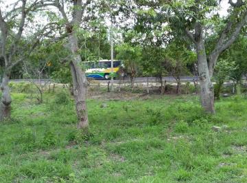 Terreno / Lote , Xalapa · Terreno en Venta Sobre Carr Estatal 140, Xalapa - Cerro Gordo, Veracruz de 13,000 m