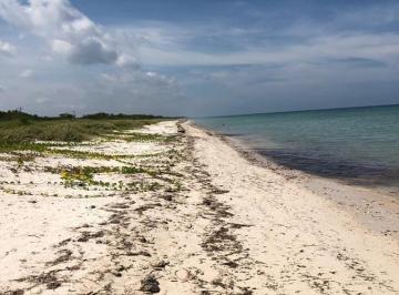 Terreno / Lote · 5420000ha · Vendo Terreno Denominado Xen, Entre Sabancuy - Champoton, Campeche