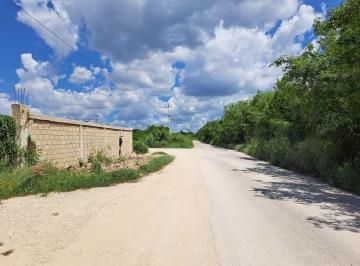 Terreno / Lote · 9298m² · Terrenos de 1 Ha en Campolindo, Tehuitz Kanasin, Yucatan - (4)