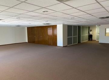 Oficina , Miguel Hidalgo · Anzures Oficina Ejecutiva Renta