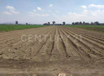Terreno / Lote · 5292m² · Terreno en Venta en San Pablo Atlazapan, Chalco, México