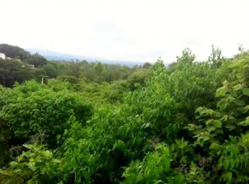 Terreno / Lote · 5500m² · Terreno Urbano en Lomas de La Selva Cuernavaca - Ham - 498 - Tu*