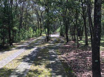 Terreno / Lote , Tequila · Terreno en Venta Tequila Jalisco