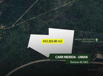 Terreno / Lote , Mérida · Terreno 45 Has Para Desarrollo Industrial en Umán, Yucatán F - 74
