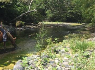 Terreno / Lote · 800000m² · Rancho de 80 Hectáreas con Acceso Al Río en Venta en Alto Lucero. Veracruz, Ver
