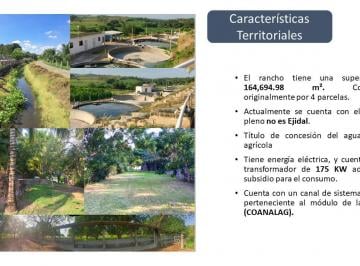 Rancho , Paso de Ovejas · Rancho en Venta con Infraestructura Acuacultura, Agricultura y Ganadería