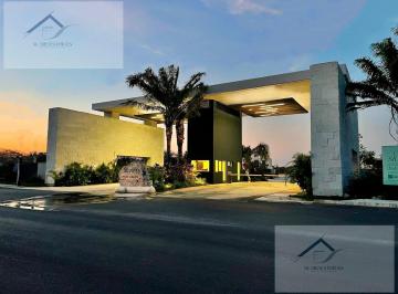 Terreno / Lote · 317m² · Terreno - Mérida