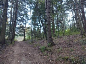Terreno / Lote , Lerma · Terreno en Venta Lerma Cañada de Alférez