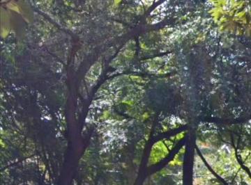 Terreno / Lote · 8175m² · Oportuniidad. Terreno Residencial en Ciudad de Oaxaca - (4)