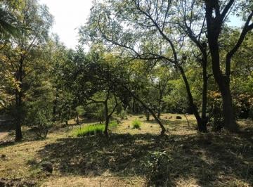 Terreno / Lote · 3577m² · Terreno en Venta en Barrio de San Andres - (4)