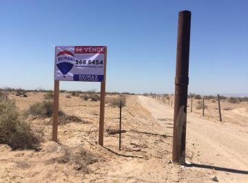Terreno / Lote · 100000m² · En Venta Terreno Rustico a un Costado de Carretera Al Aeropuerto - (4)