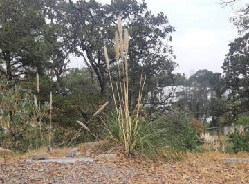 Terreno / Lote · 700m² · Terreno en Venta en Condado de Sayavedra