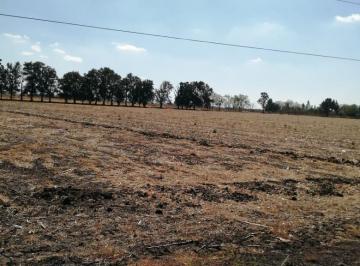 Terreno comercial · 15000m² · Terreno en Venta - (4)