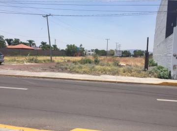 Terreno / Lote · 250m² · Terreno en Renta Excelente Ubicación - (4)