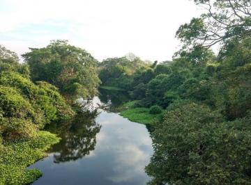 Terreno / Lote · Terreno en Venta Enmedellin, Veracruz, Junt Al Rio