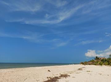 Terreno / Lote , Celestún · Terreno Frente Al Mar en Celestun, Yucatan