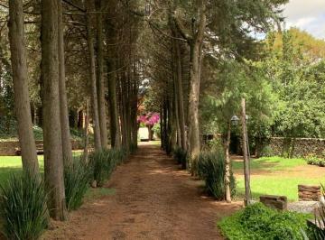 Quinta de 5 habitaciones, Xochimilco · Rancho en Renta en San Francisco Tlalnepantla