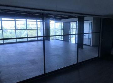 Oficina , Miguel Hidalgo · Oficina Polanco