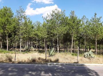 Terreno / Lote , Atlacomulco · Terreno en Venta Atlacomulco San Bartolo El Arenal