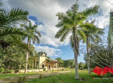 Quinta de 5 habitaciones, Cansahcab · Antigua Hacienda Henequena con Enorme Terreno