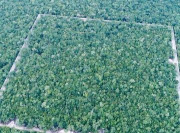 Terreno / Lote · 250m² · Lote en Venta en Tulum, Villas Tulum