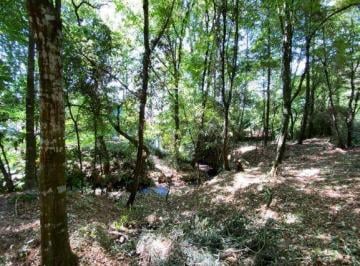 Terreno / Lote · 6000m² · Terreno en Venta - (4)