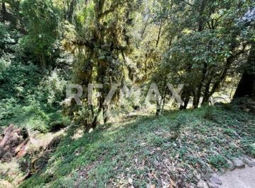 Terreno / Lote · 5000m² · Terreno en Venta. - (4)
