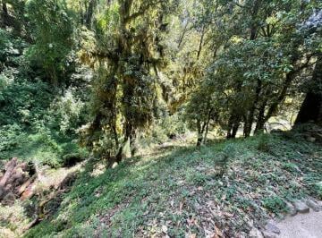 Terreno / Lote · 5000m² · Terreno en Venta. - (4)