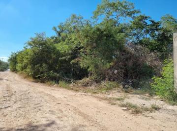 Terreno / Lote · 7500m² · Terreno en Venta en Umán, Excelente Para Bodega, Cdi, Maquiladora Etc. - (4)
