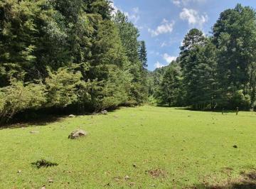 Terreno / Lote · 6661m² · Terreno en Venta. - (4)