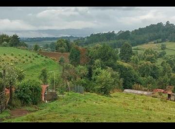 Terreno / Lote · 8800m² · Terreno en Venta. - (4)