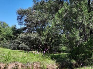 Terreno / Lote · 5600m² · Terreno - Huasca de Ocampo Centro