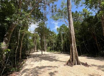 Terreno / Lote , Puerto Morelos · Precio Especial - Venta Lotes 1000 m² con Titulo de Propiedad Km15 Ruta de Los Cenotes