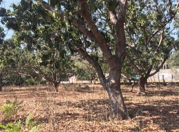 Terreno / Lote · 317084m² · Terreno en Venta Zona Diamante Acapulco - (4)