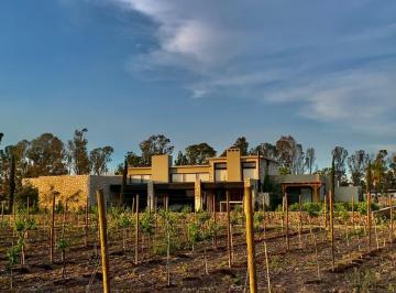 Terreno / Lote , San Miguel de Allende · Terreno en Viñedo San Francisco